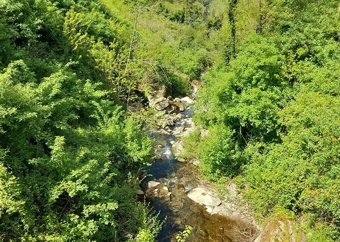 Casa Lina, Vallombrosa, Wifi, Private Area Tosi