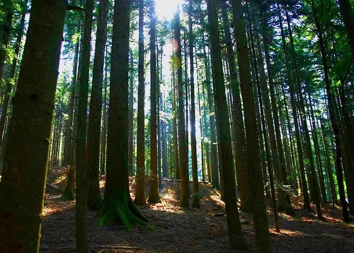 Διαμέρισμα Casa Lina, Vallombrosa, Wifi, Private Area *