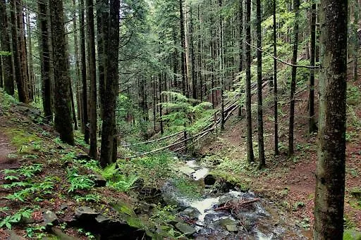 Casa Lina, Vallombrosa, Wifi, Private Area Διαμέρισμα