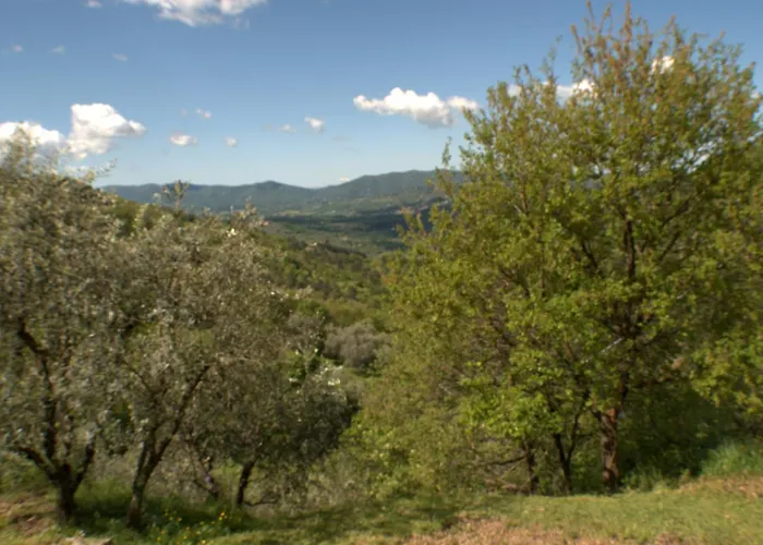 Casa Lina, Vallombrosa, Wifi, Private Area Tosi