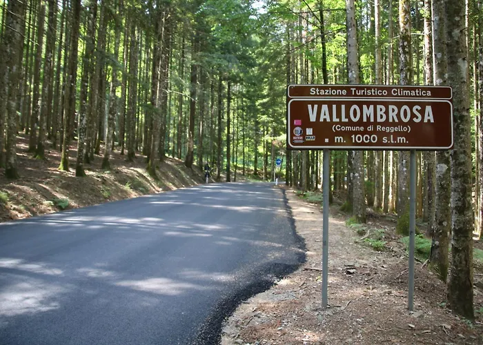 Casa Lina, Vallombrosa, Wifi, Private Area