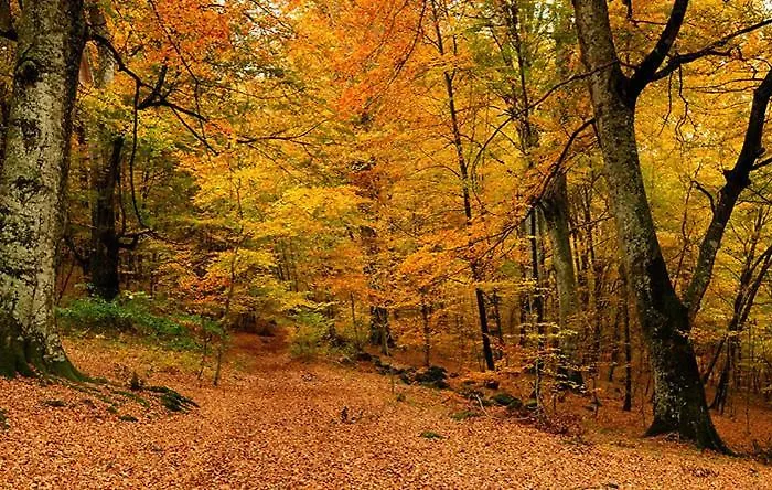 Casa Lina, Vallombrosa, Wifi, Private Area Διαμέρισμα Tosi