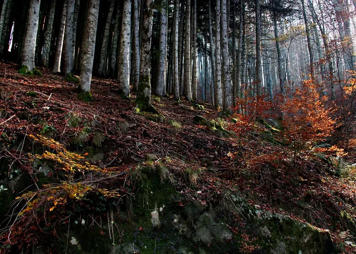 Casa Lina, Vallombrosa, Wifi, Private Area Διαμέρισμα