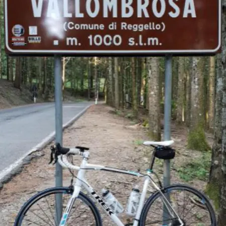 Casa Lina, Vallombrosa, Wifi, Private Area Apartment Tosi